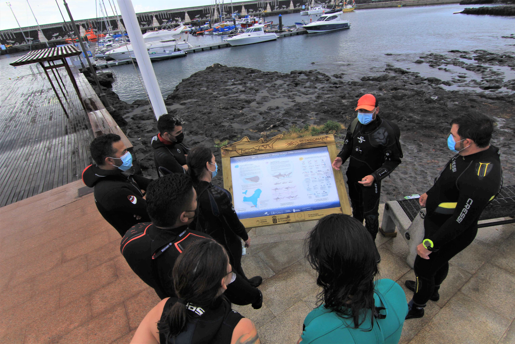 Transición Ecológica impulsa un código de conducta para proteger al tiburón solrayo presente en El Hierro