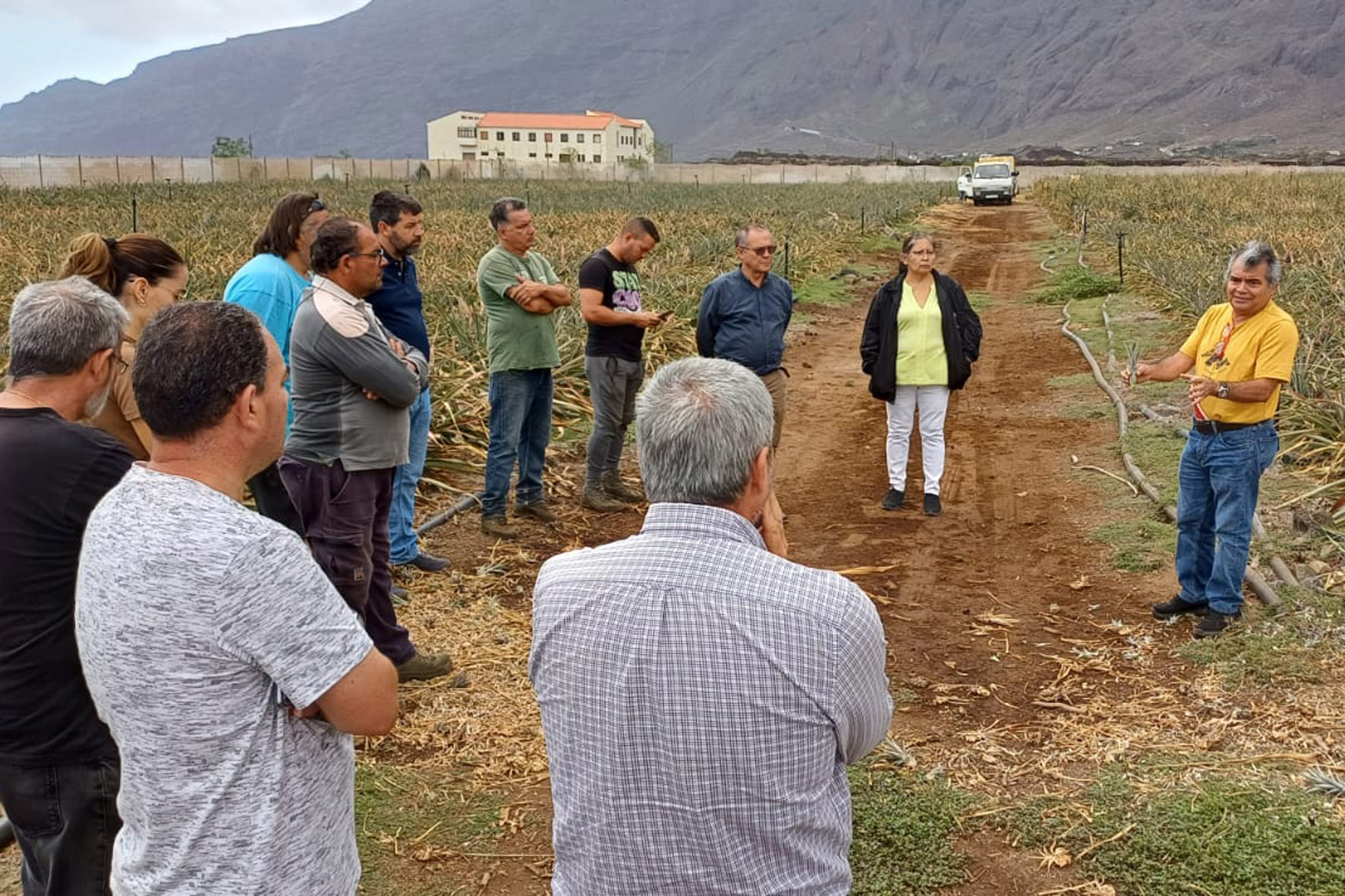 El investigador Andrés Rebolledo apunta al control de las plagas que afectan a la piña de El Hierro a través de productos orgánicos y el uso de hongos