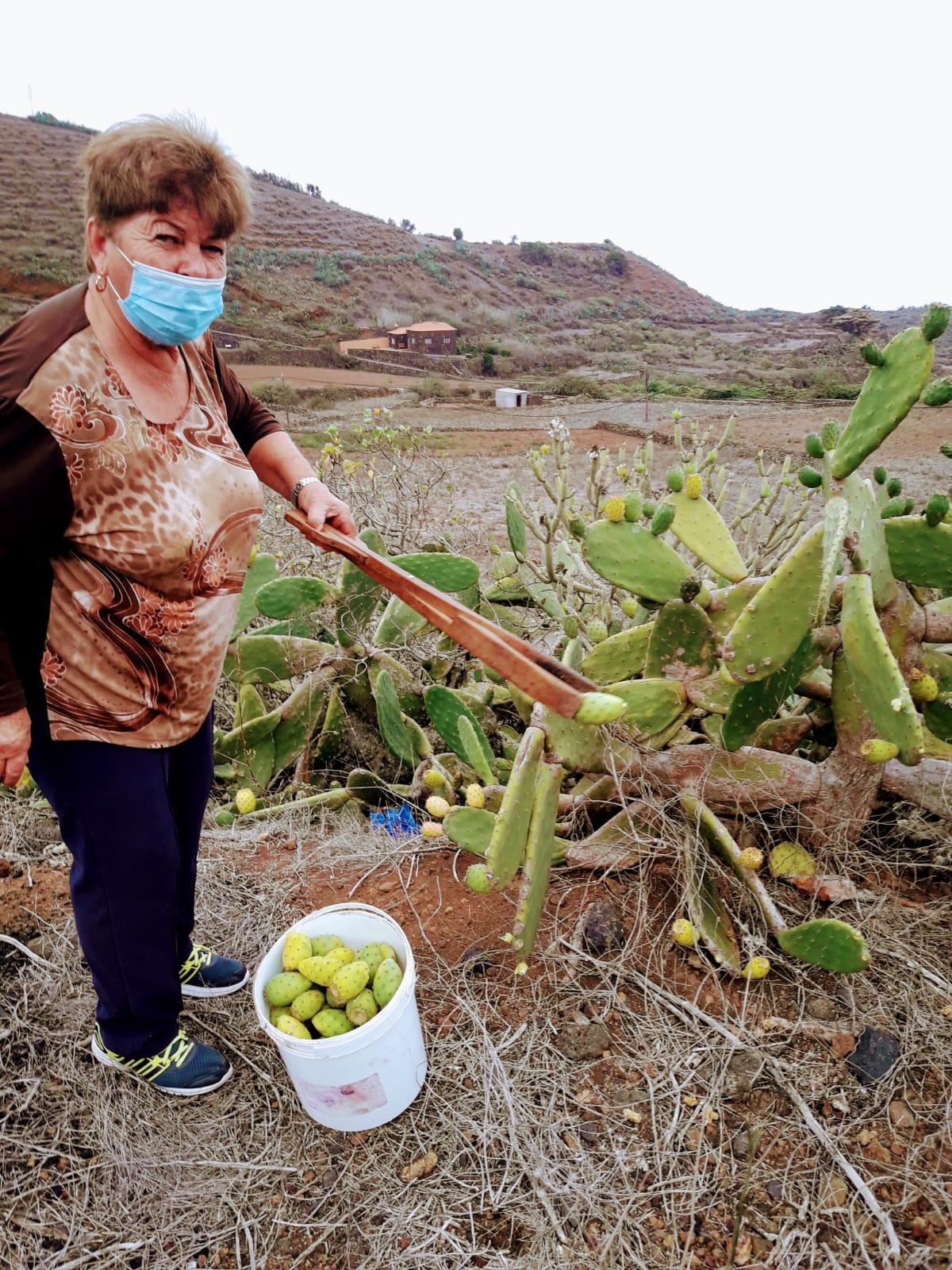En el camino de la historia: Vamos a coger tunos