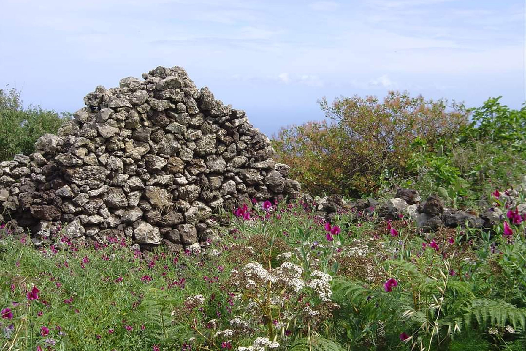 El Cabildo aprueba una resolución para la protección de Las Montañetas