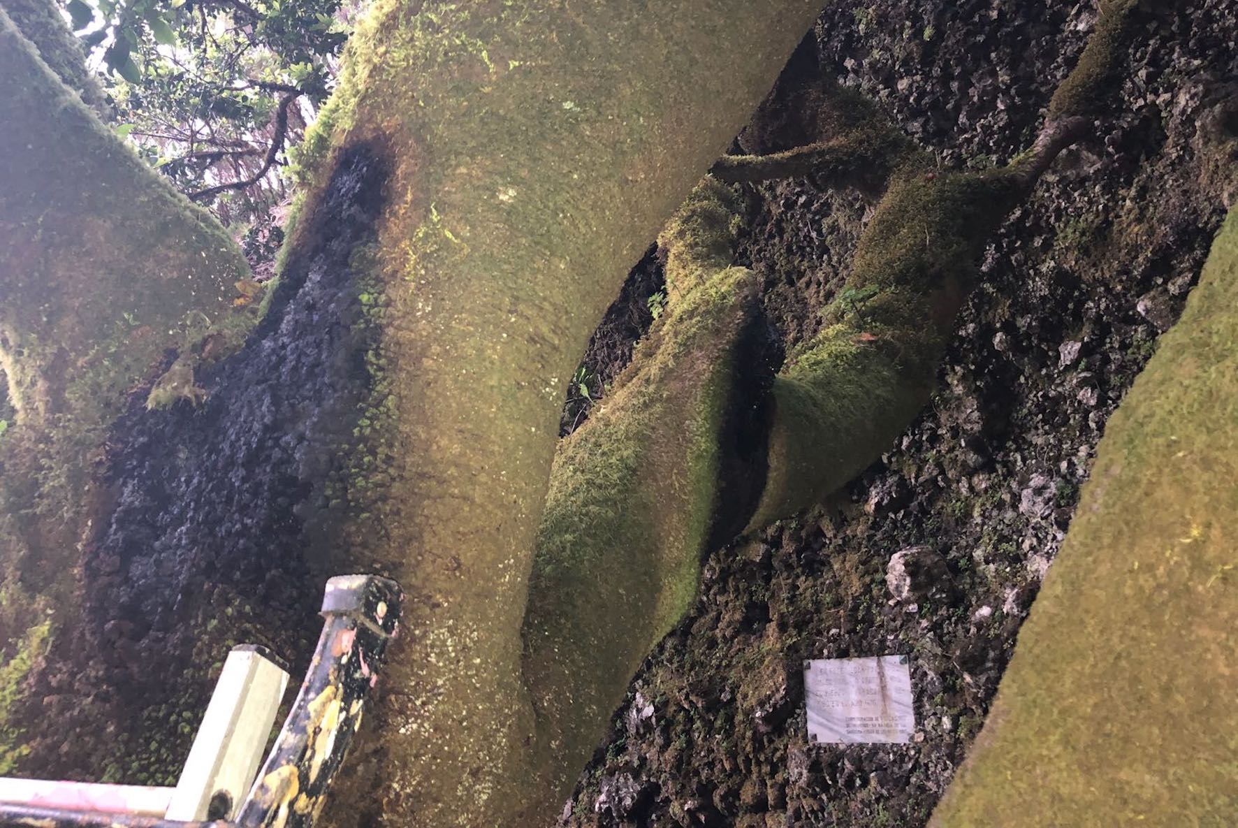 El Cabildo de El Hierro descarta una agresión al Garoé