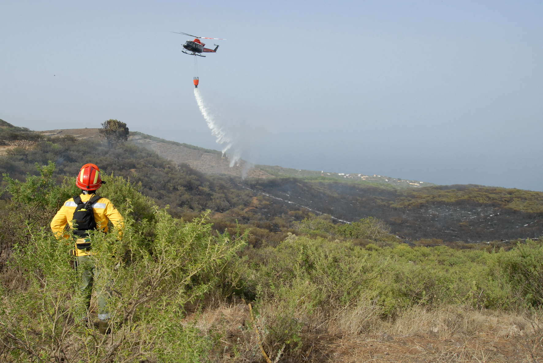 Simulacro regional contra incendios forestales